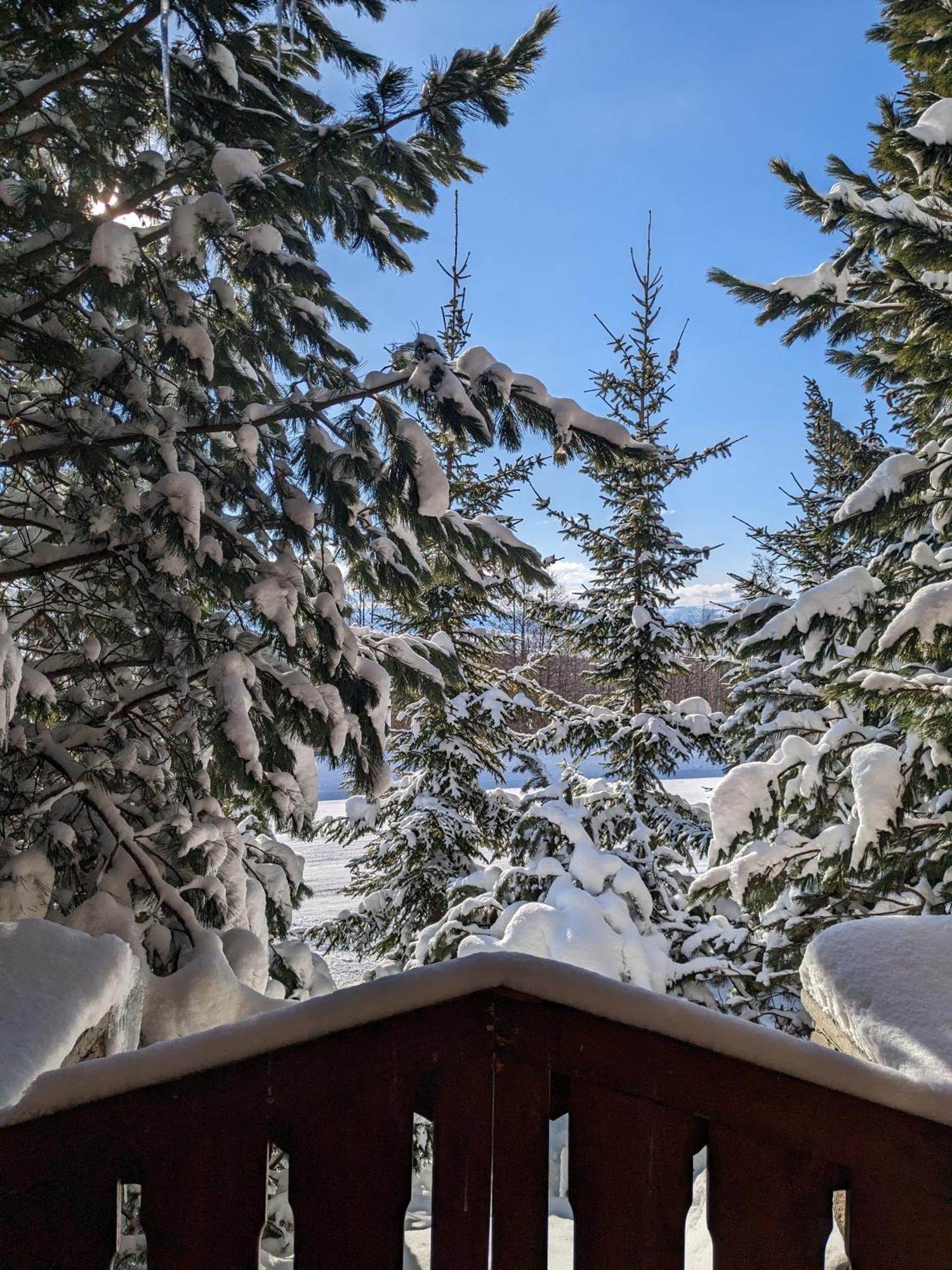 Apartmany Lesy A Luky - V Srdci Tatier Vysoké Tatry 외부 사진